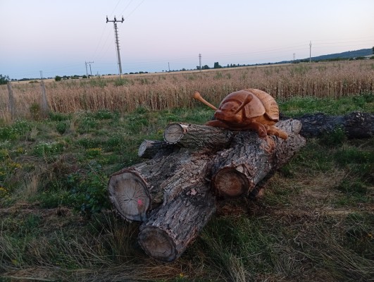 foto 28.7.2026 - umístění sochy brouka z Dřevosochání 2026