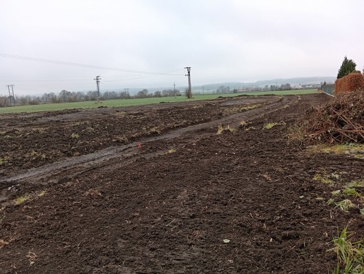 první dekáda prosince 2025