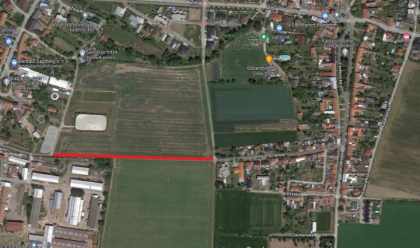 Chcete si zasadit strom?