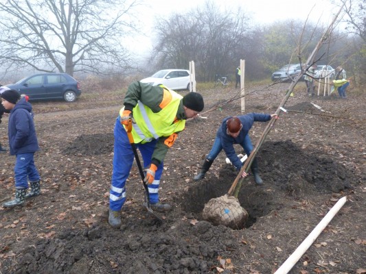 Komunitní sázení 13.11.2021