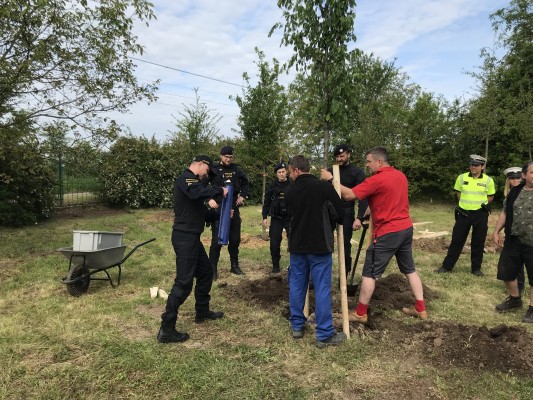 První komunitní sázení 2024