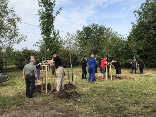 První komunitní sázení 2024