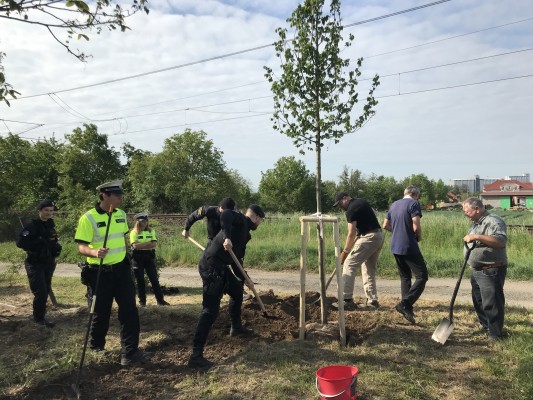 První komunitní sázení 2024