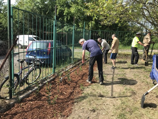 První komunitní sázení 2024