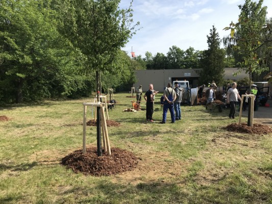 První komunitní sázení 2024