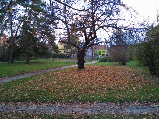 Projekt "Sousedský dvůr"