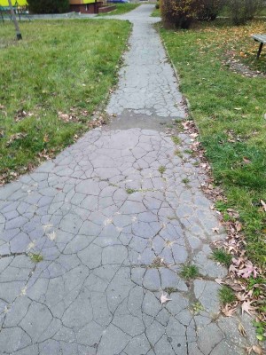 Oprava chodníku a vozovky ve vnitro bloku Waitova, Manharda, Bulharská a Dr. Horáka