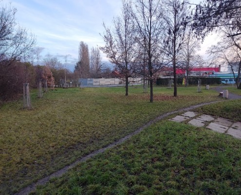 Oplocení psí loučky u Pivovarského rybníčku ve Vrahovicích