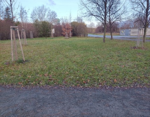 Oplocení psí loučky u Pivovarského rybníčku ve Vrahovicích