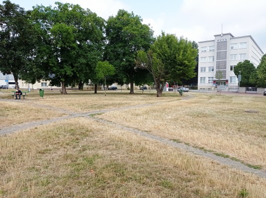 stávající stav zeleně na Husově náměstí