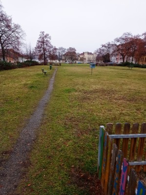 stávající stav zeleně na Husově náměstí