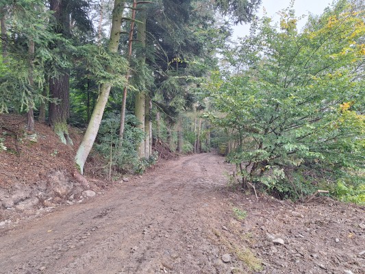 první dekáda října 2024