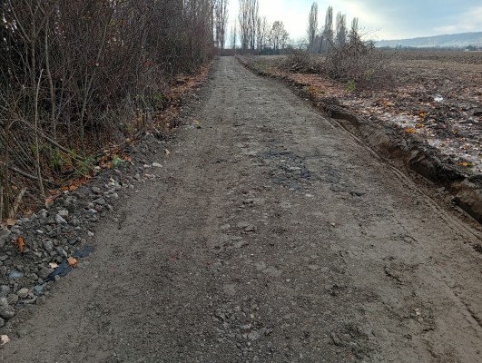 druhá dekáda listopadu 2025