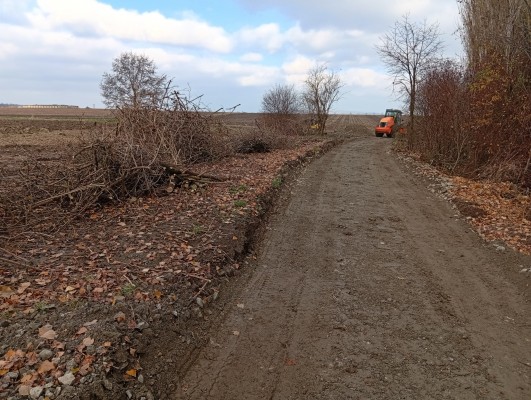 druhá dekáda listopadu 2025