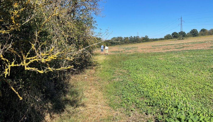 Cyklostezka Vrbátky