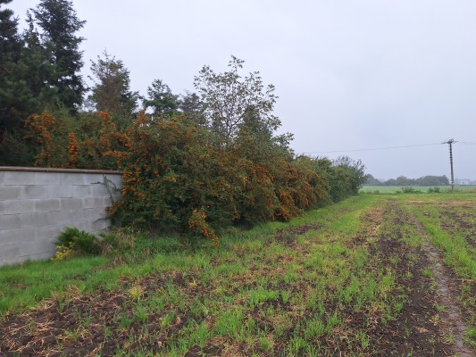 před zahájením stavebních prací - konec září 2025