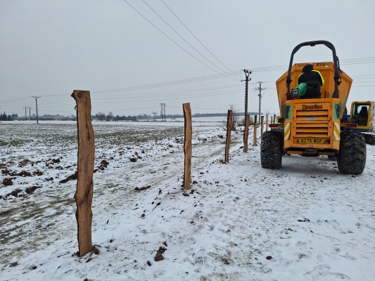 první dekáda února 2026