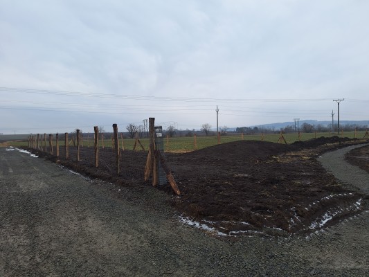 první dekáda února 2026