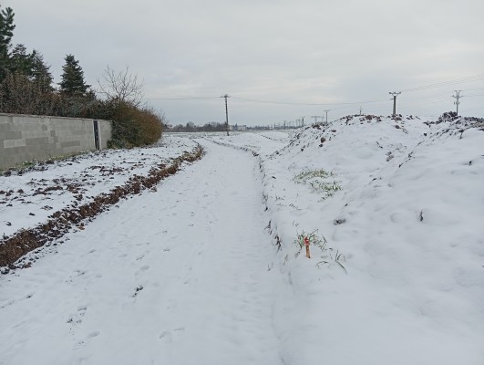 třetí dekáda listopadu 2025