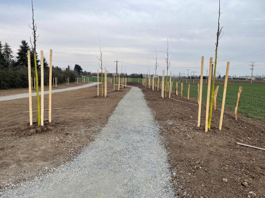 třetí dekáda března 2026