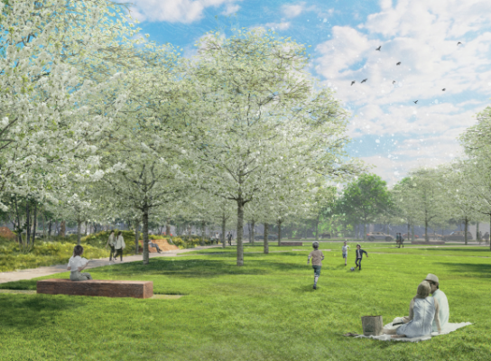 studie - vizualizace park