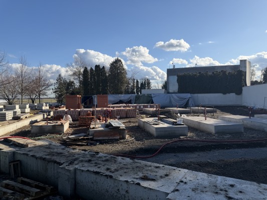 třetí dekáda února 2026