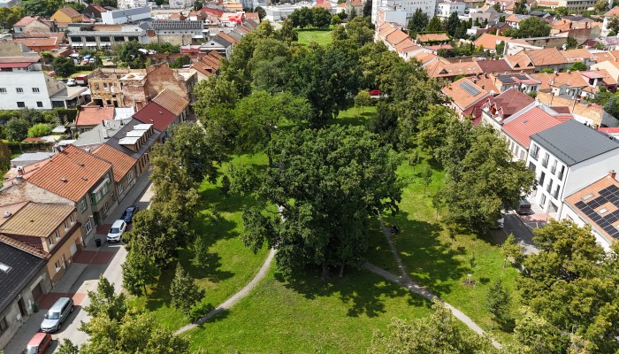 Revitalizace Husova náměstí