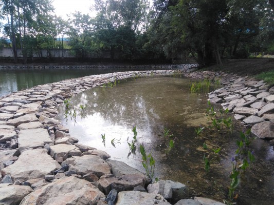 Revitalizace pivovarského rybníčku - litorální zóna