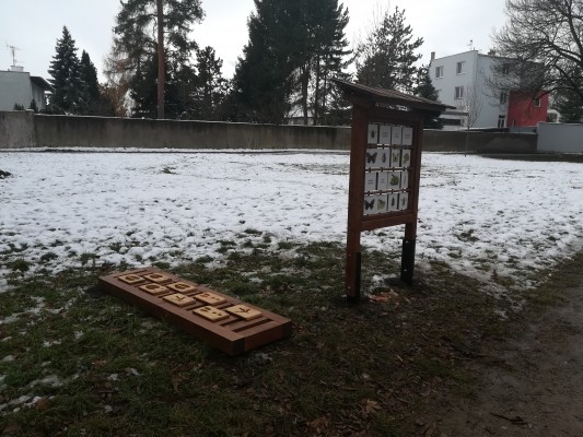 Stopy a poznávání hmyzu