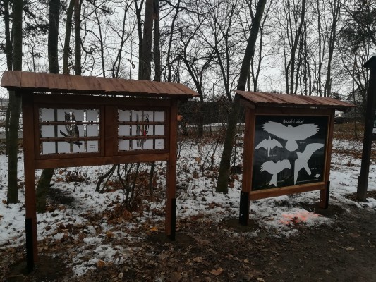 Otoční ptáci a rozpětí křídel