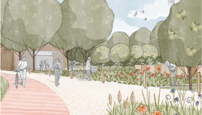 Studie Jižního prstence