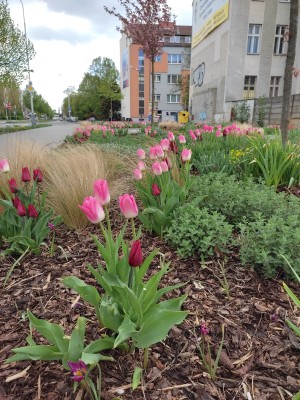 duben 2023 - jaro v prostoru přednádraží