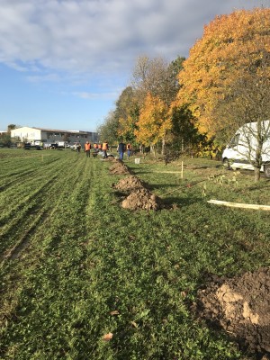 Foto z komunitního sázení 4.11.2023