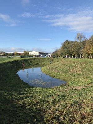 Foto z komunitního sázení 4.11.2023