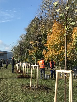 Foto z komunitního sázení 4.11.2023