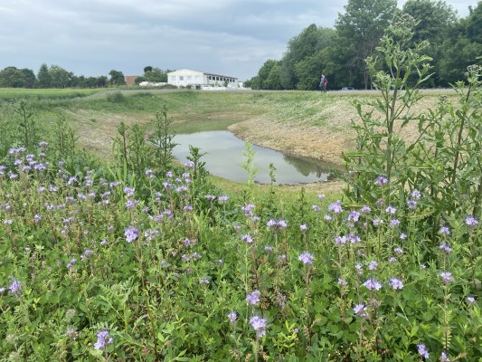 Obnovený slepý meandr v červnu 2023