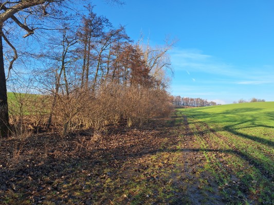 Foto II. etapy před realizací