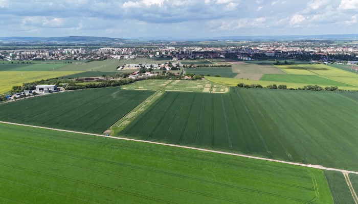 Prvky ÚSES Za Cihelnou - vybudování biocenter a biokoridorů