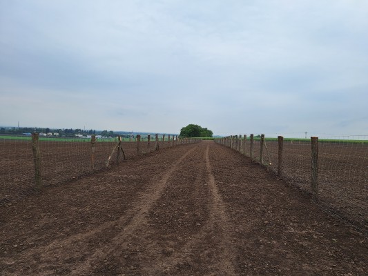 I. etapa - první dekáda května 2024