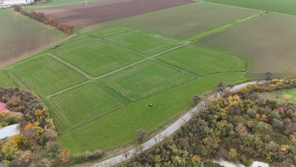 I. etapa - třetí dekáda října 2024 - pohled z dronu