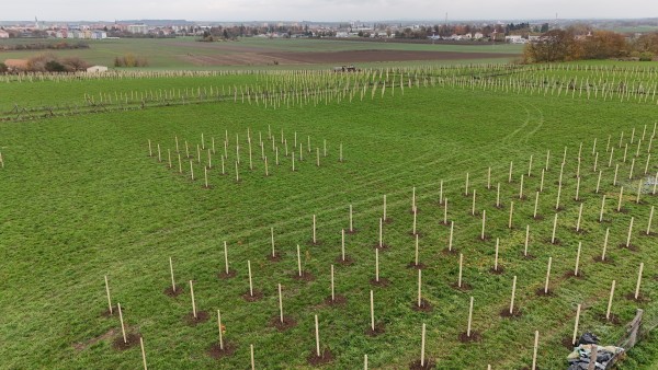 I. etapa - třetí dekáda října 2024