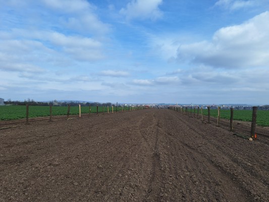 I. etapa - třetí dekáda března 2024