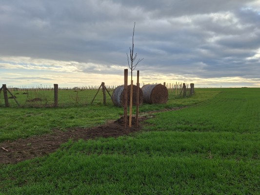 I. etapa - třetí dekáda listopadu 2024