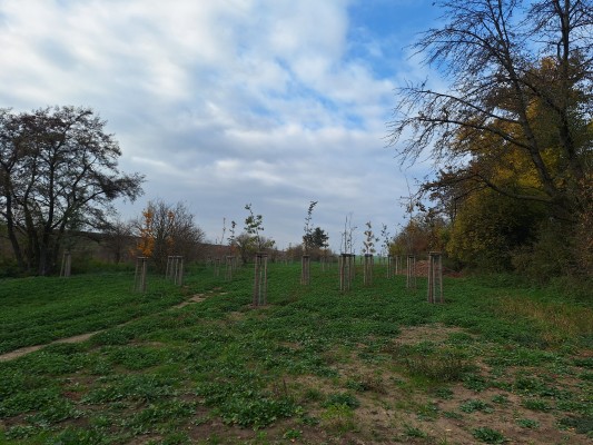 II. etapa -dokončeno - třetí dekáda října 2024