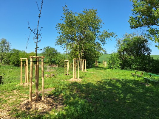 II. etapa - třetí dekáda dubna 2024