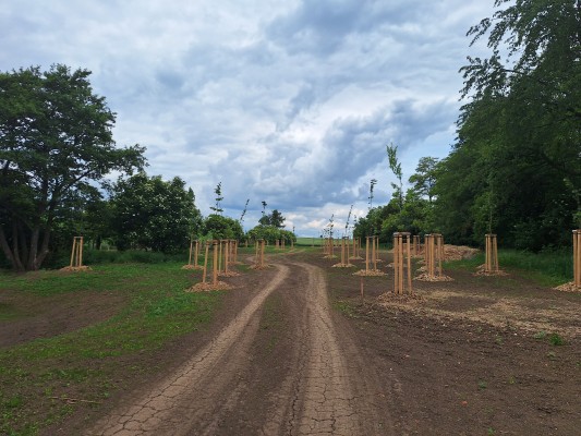 II. etapa - třetí dekáda května 2024