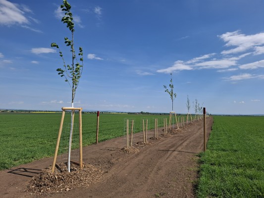 květen 2025