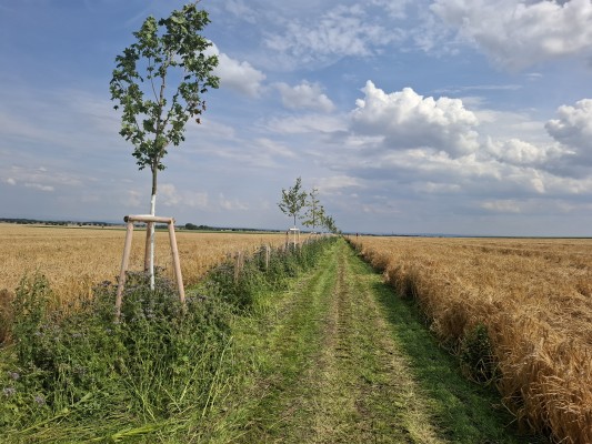 červenec 2025