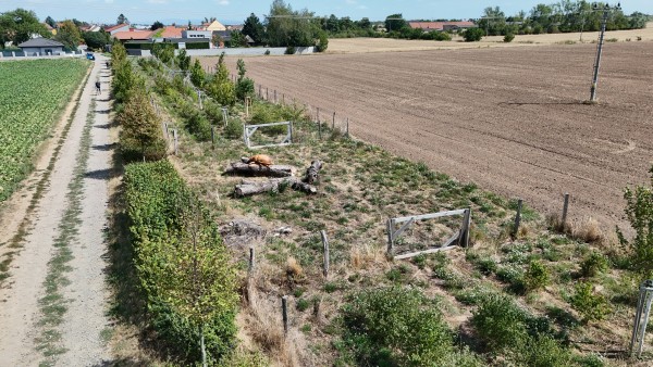 druhá dekáda srpna 2026
