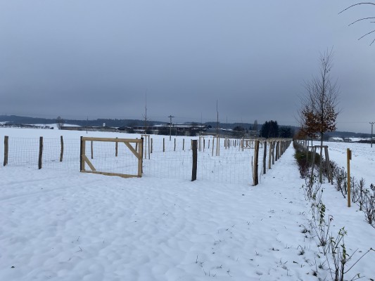 konec listopadu 2023